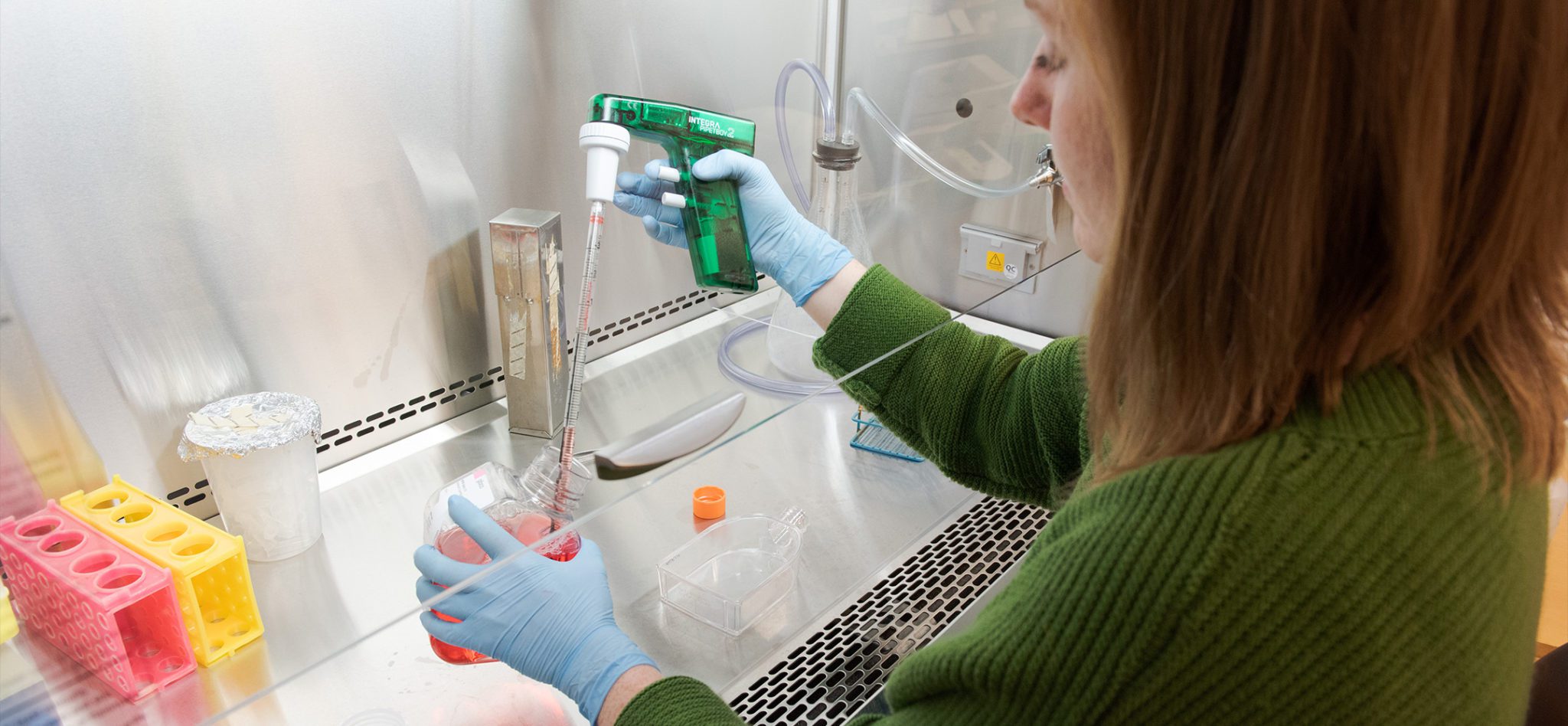 Medical Laboratory Technology CSU